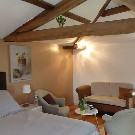 Bed and Breakfast La Pourgere Saint-Martin-du-Fouilloux (Maine-et-Loire)